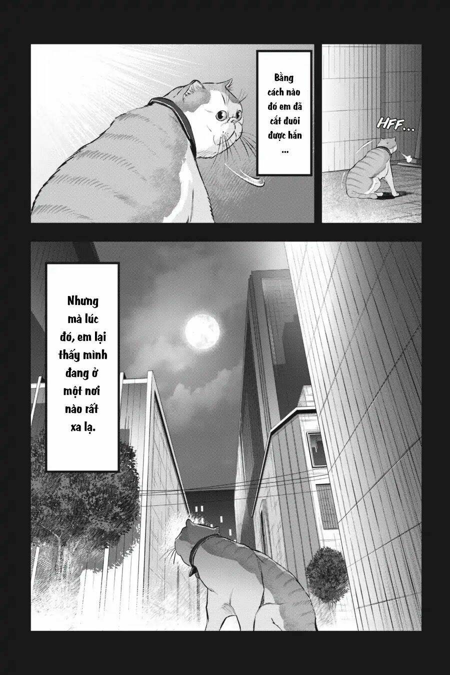 nyankees chapter 10 19