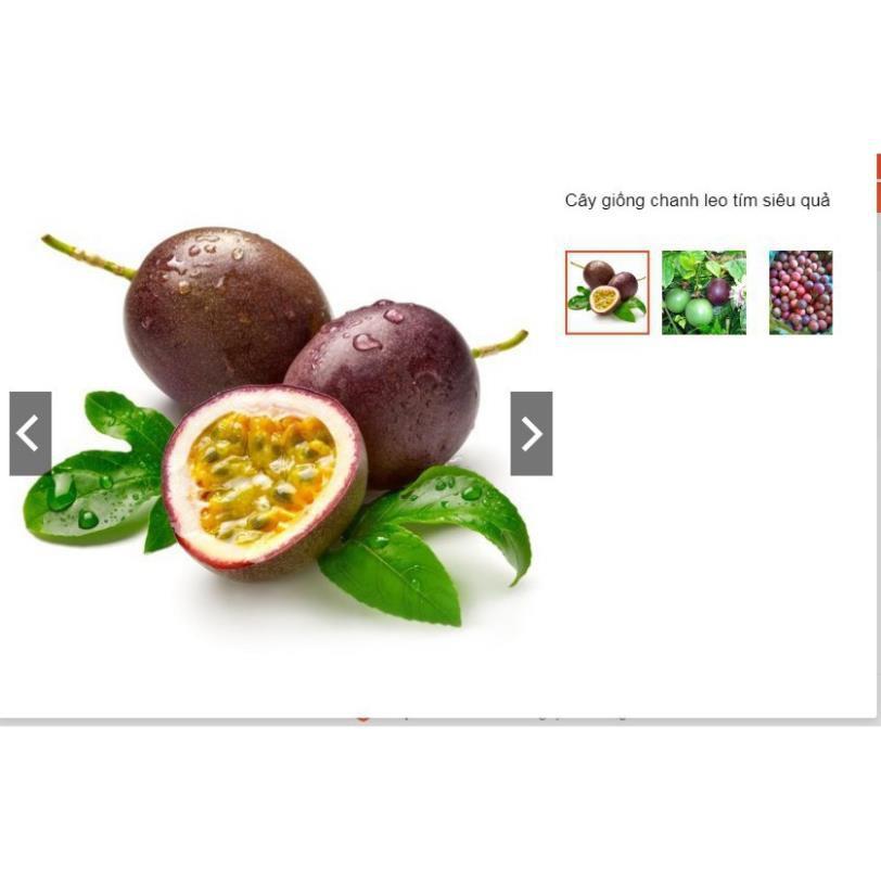 Sản phẩm Cây Ăn Trái cây giống chanh leo siêu quả