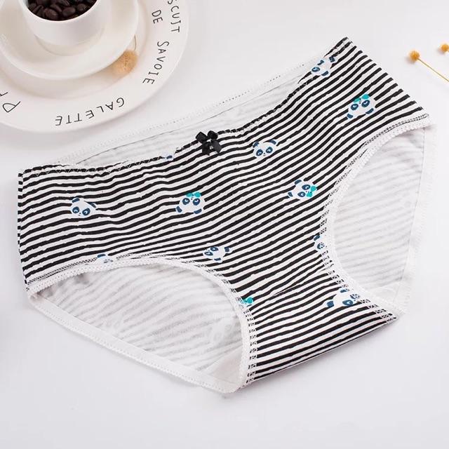 HỘP 04 QUẦN LÓT COTTON CHẤT ĐẸP