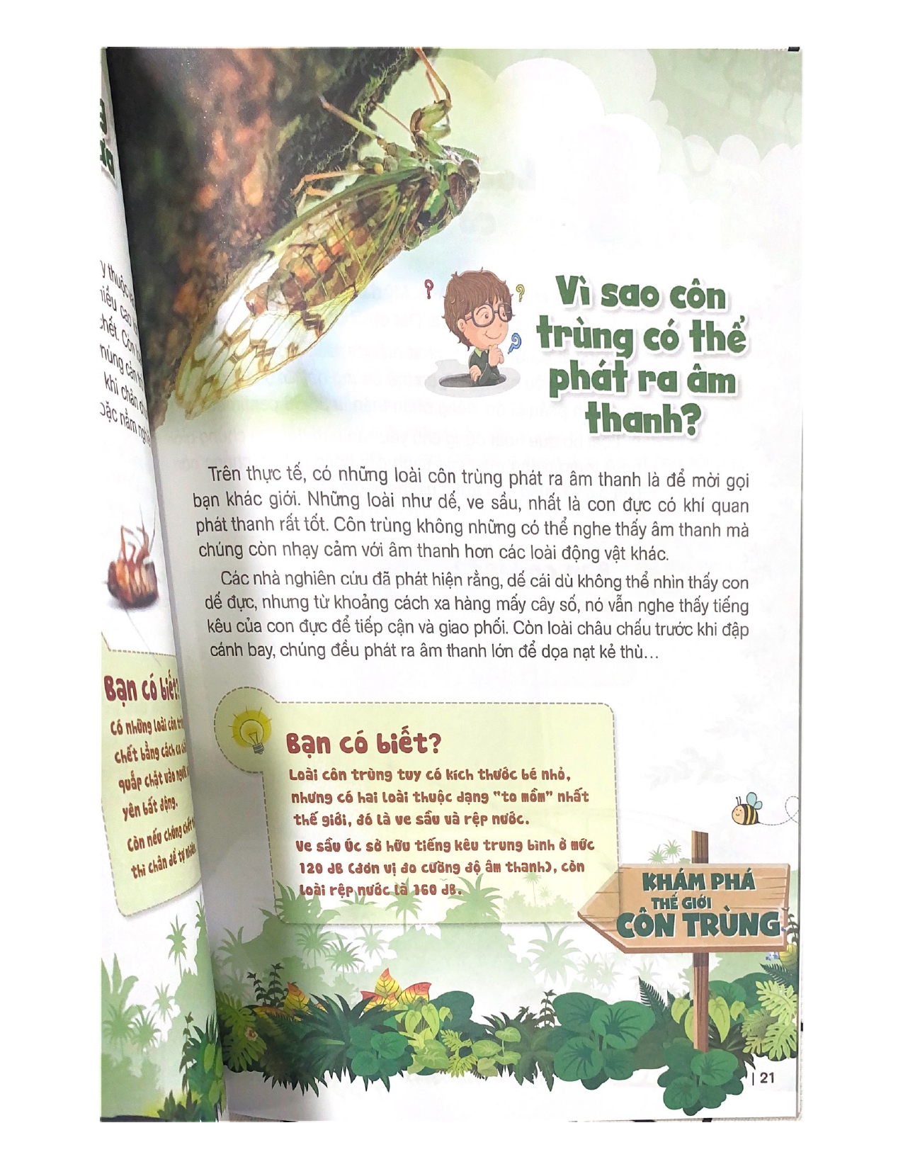 10 Vạn Câu Hỏi Vì Sao? Khám Phá Thế Giới Côn Trùng - Vanlangbooks