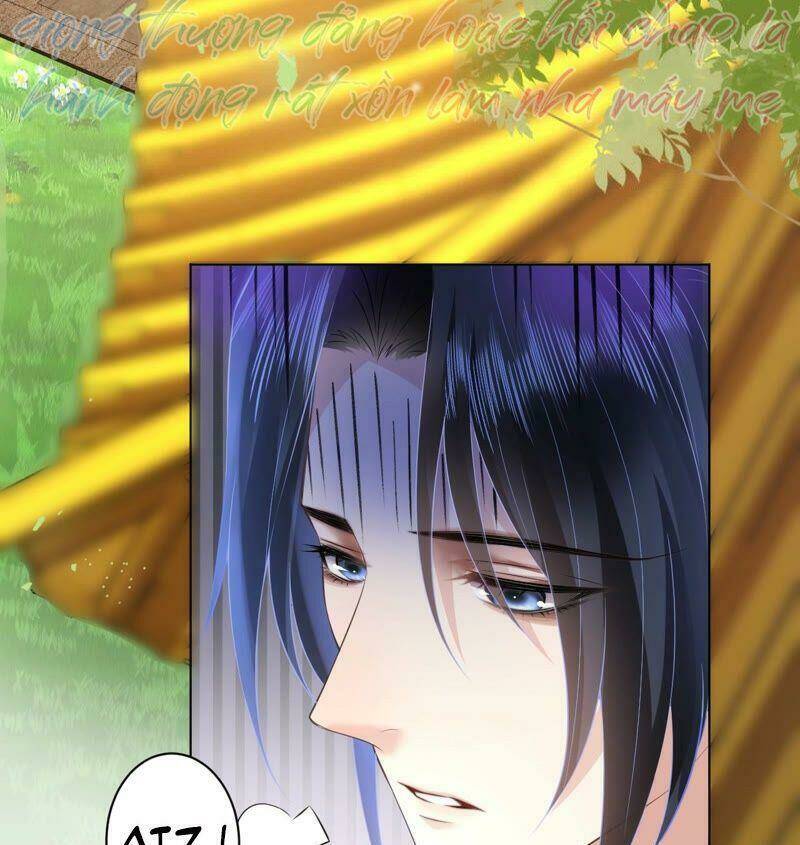 quận chúa vững vàng, thiết lập nhân vật không thể vỡ chapter 32 36