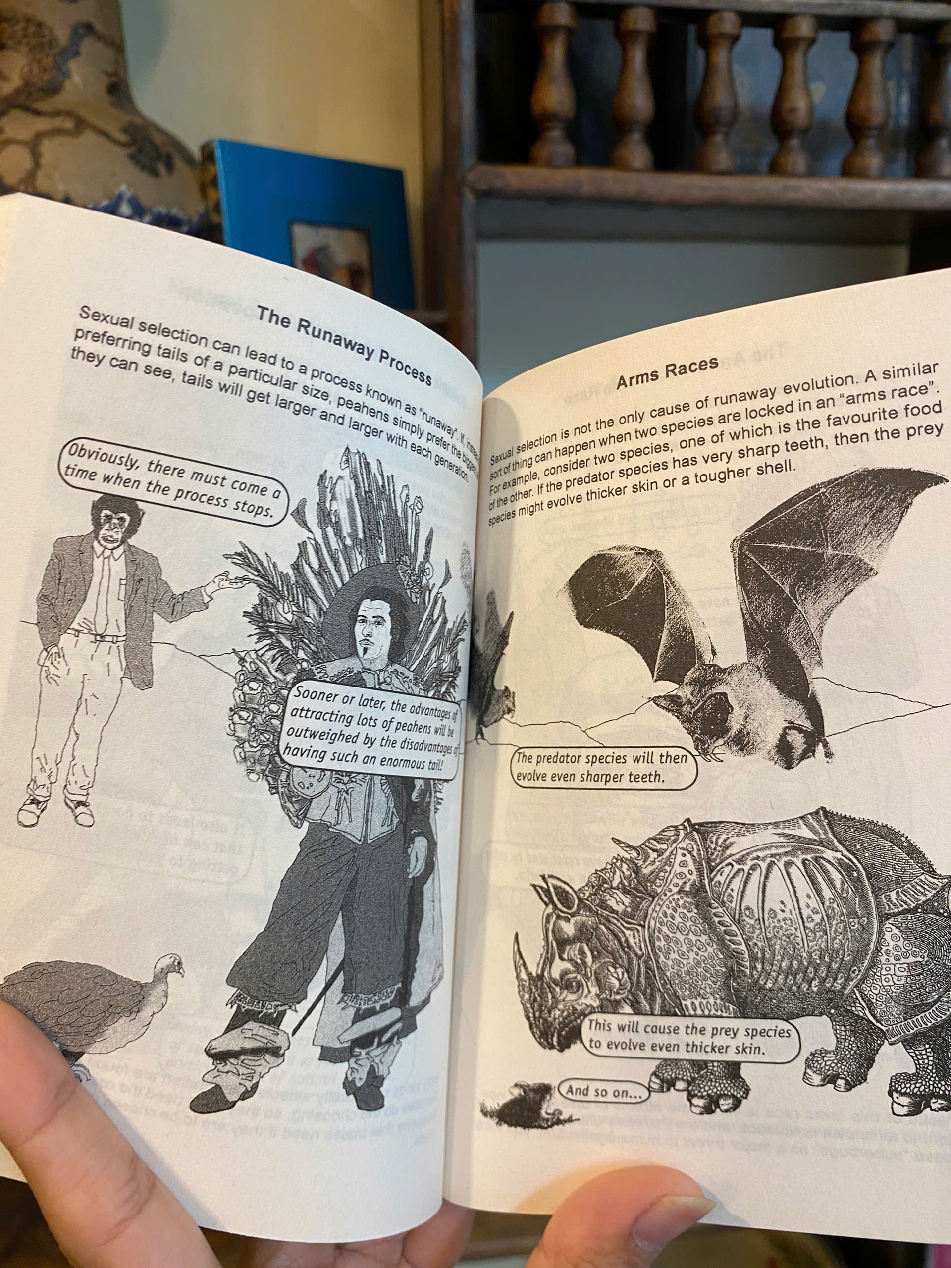 Sách - Introducing Evolution A Graphic Guide by Dylan Evans - Icon Books Graphic Guide Series