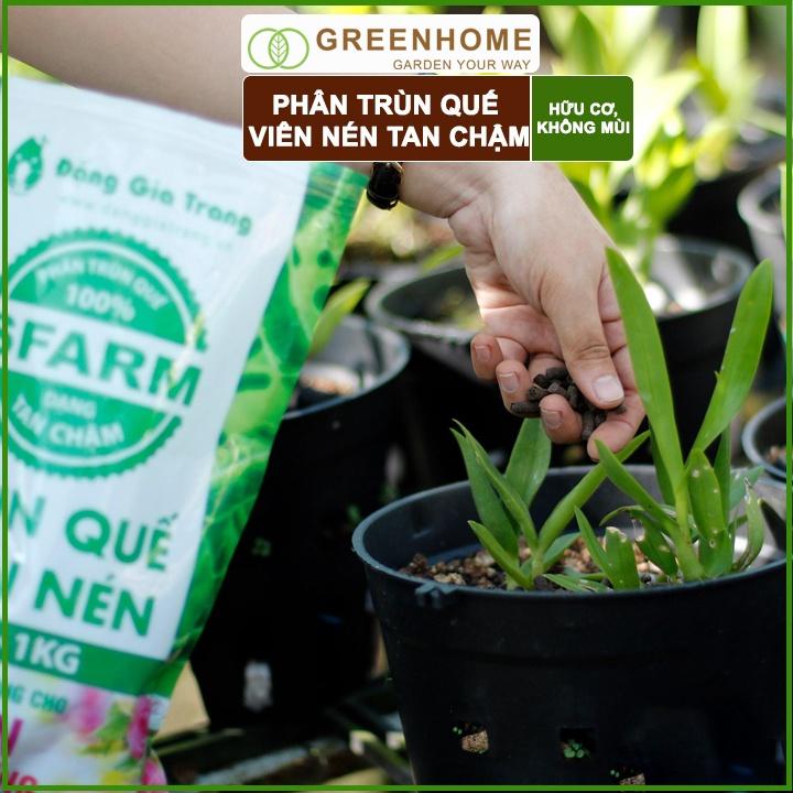 Phân Trùn Quế Viên Nén Sfarm 1kg- Phân trùn quế bón Lan, Hoa, Cây cảnh, Bonsai nguyên chất 100%
