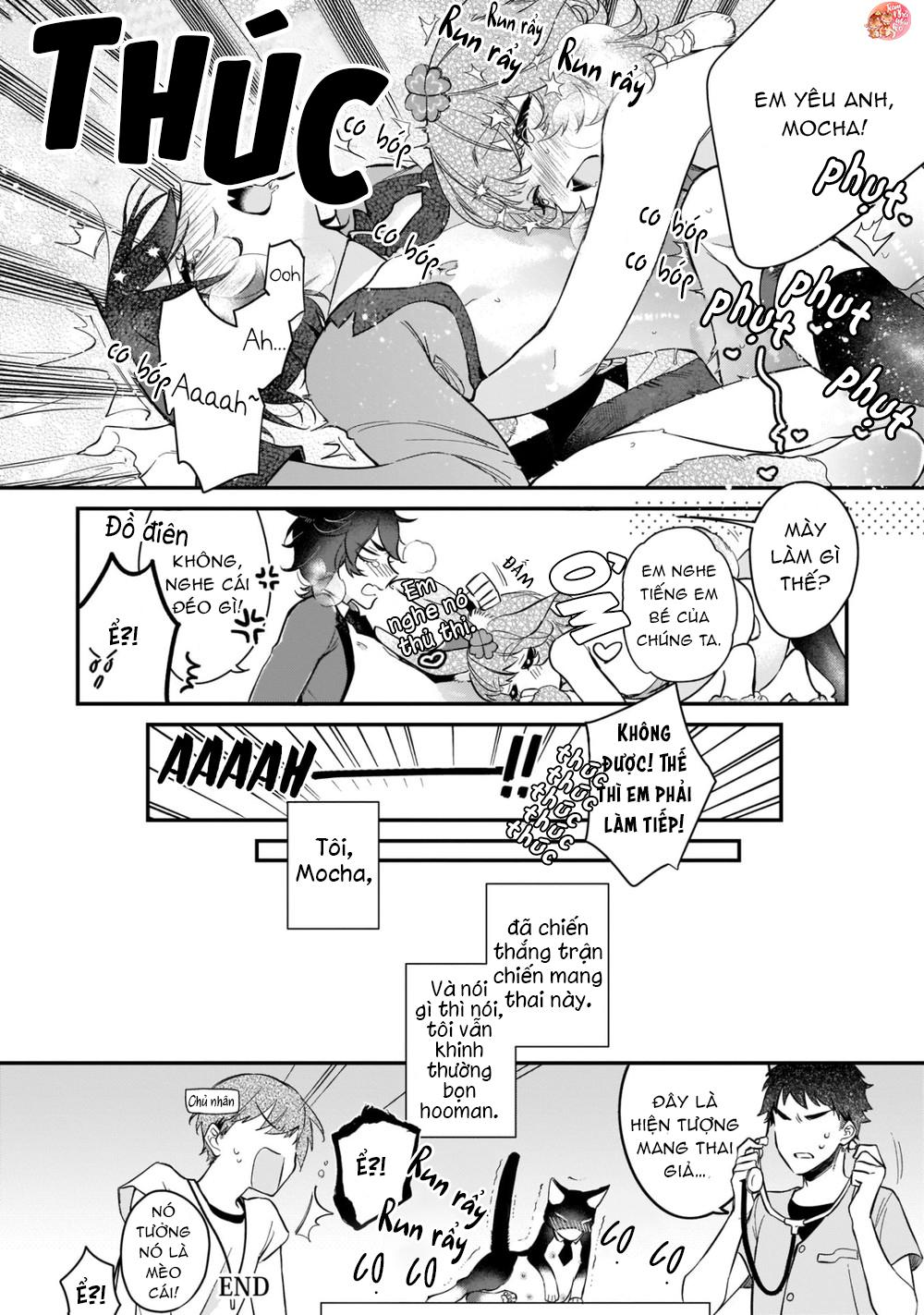 oneshot bl từ nhiều tác giả - mlèo dịch chapter 61 11