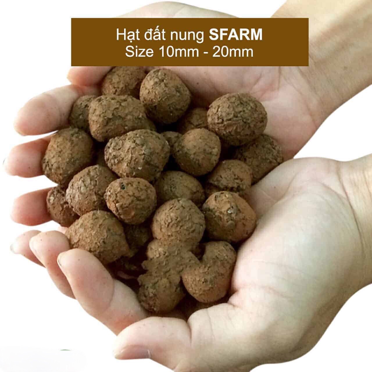 VIÊN ĐẤT NUNG ( SỎI NHẸ ) SFARM