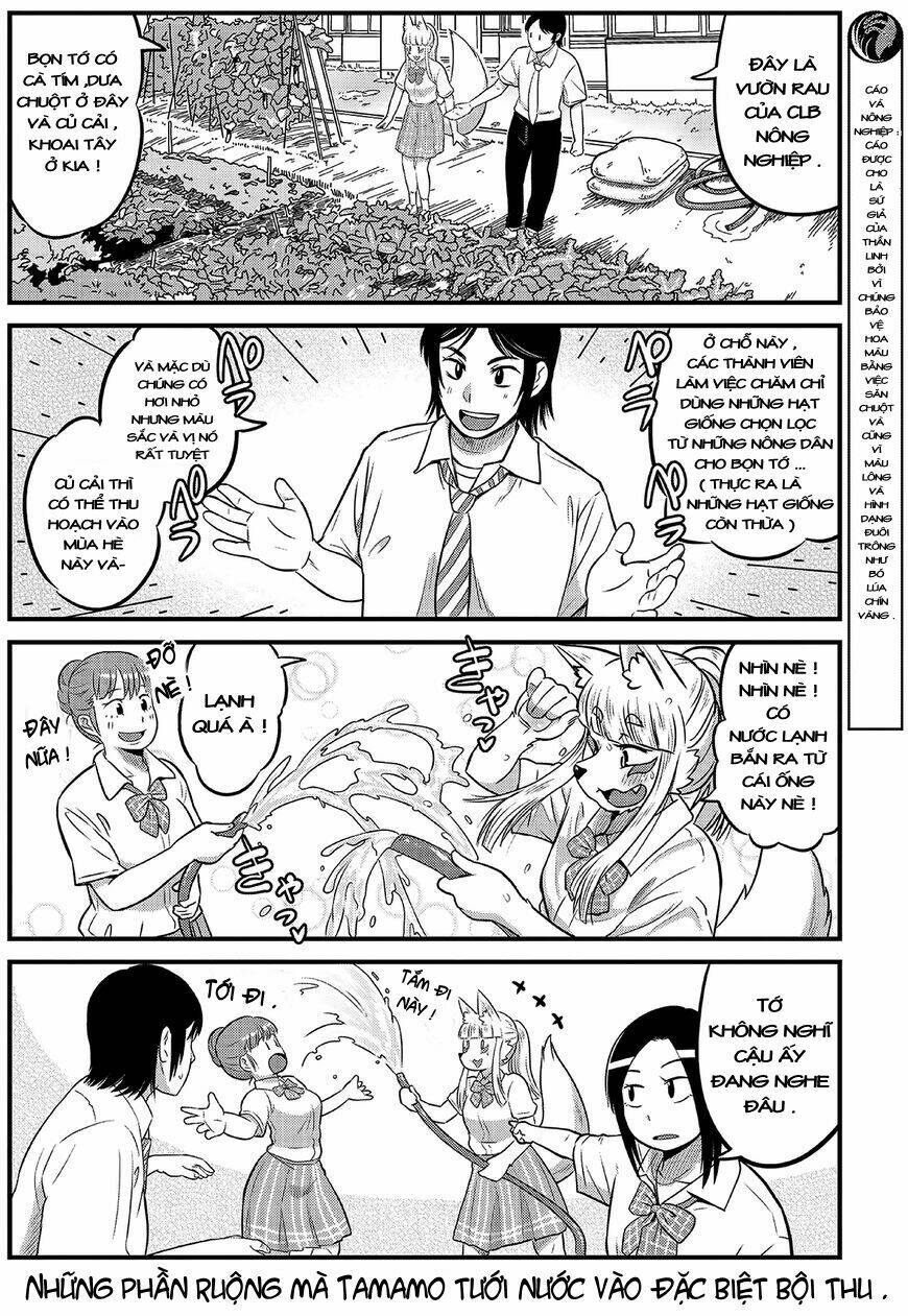 high school inari tamamo-chan ! chapter 13 5