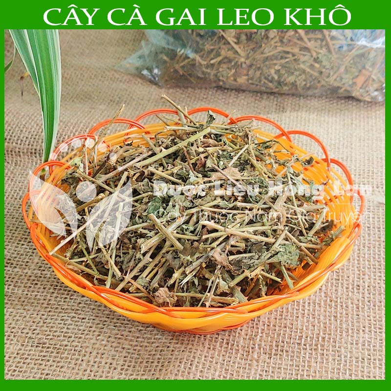 Cây Cà Gai Leo khô loại 1 đóng gói 500g