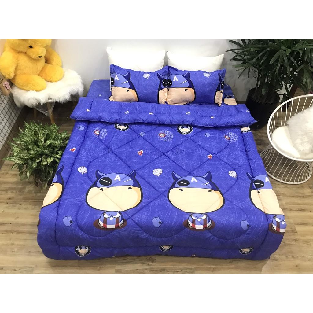 Mền Bông Hơi Siêu Nhẹ Mùa Đông Trần Phao Poly Cotton Có Ruột Dày Hàng Loại 1 Được Chọn Mẫu