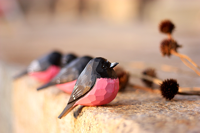 Tượng Chim Gỗ Pink Robin
