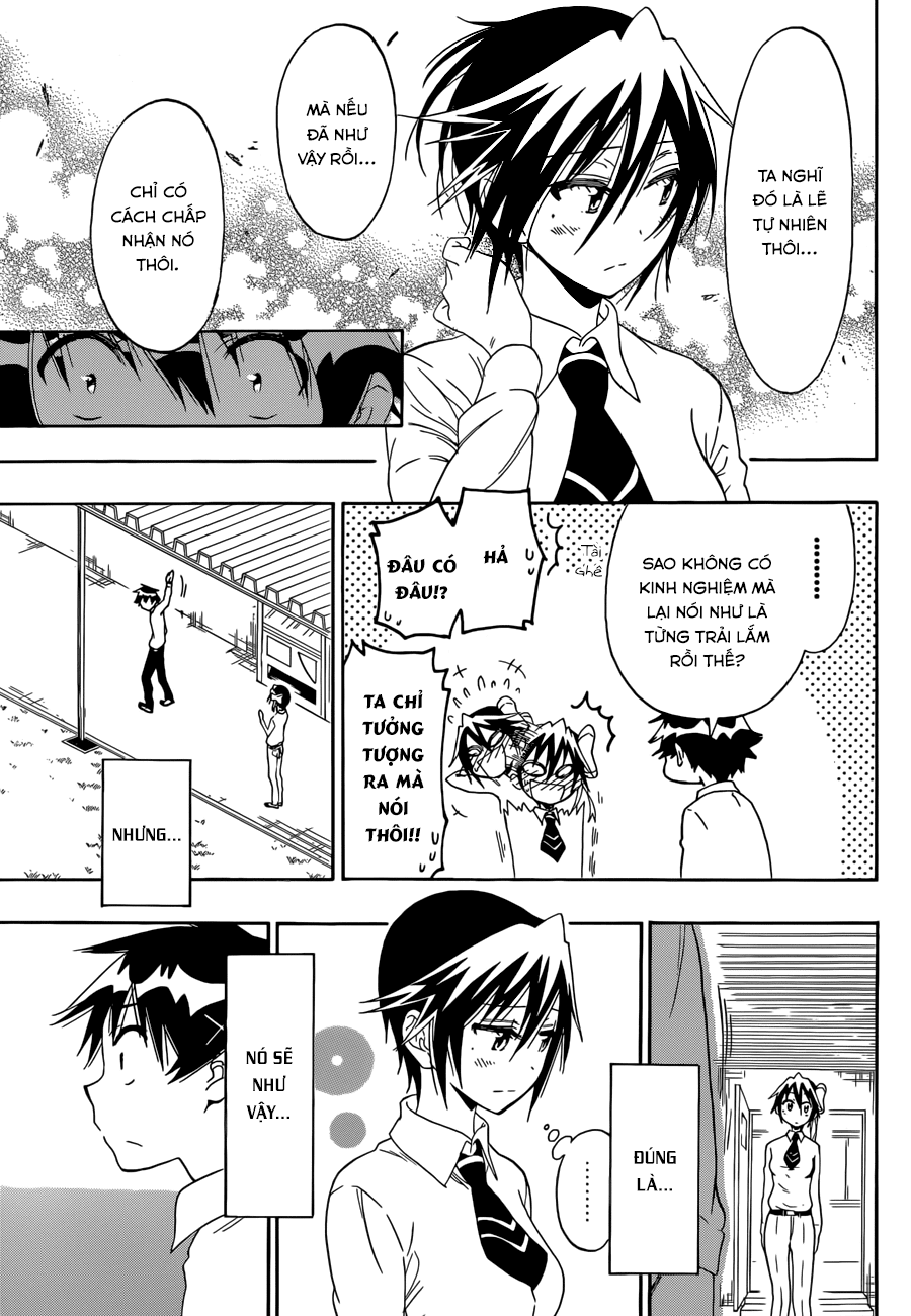 nisekoi - tình yêu giả tạo chapter 84 14