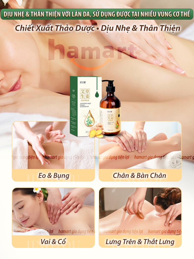 Dầu Massage Body 500ml Tinh Chất Gừng Ngải Cứu Spa Đông Y Cổ Vai Gáy Dưỡng Sinh Giảm Đau Xương Khớp