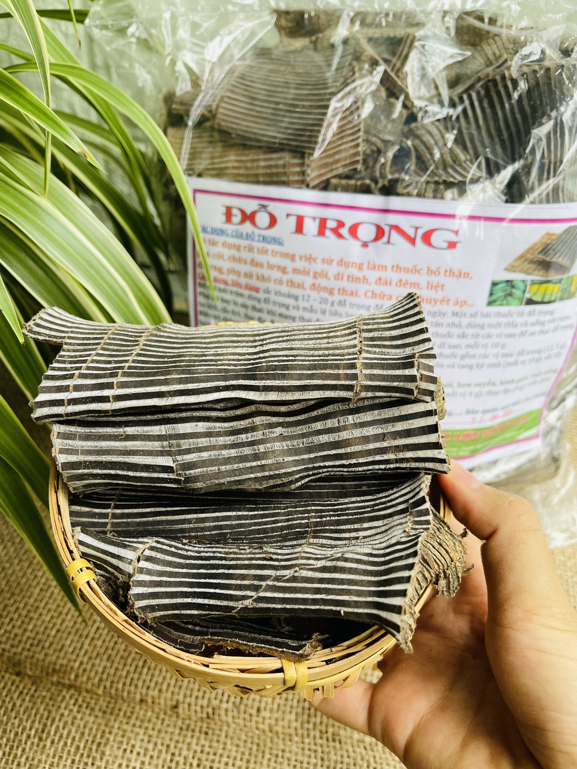 Đỗ Trọng khô đóng gói 1kg