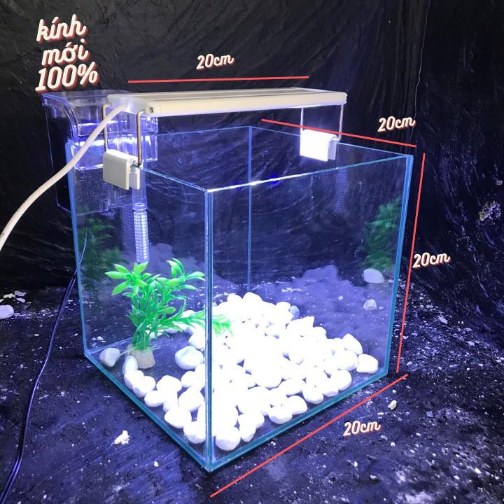 Bể cá mini CUBIC 20cm COMBO Hồ+ Lọc+ Đèn Tặng 6 món phụ kiện trang trí