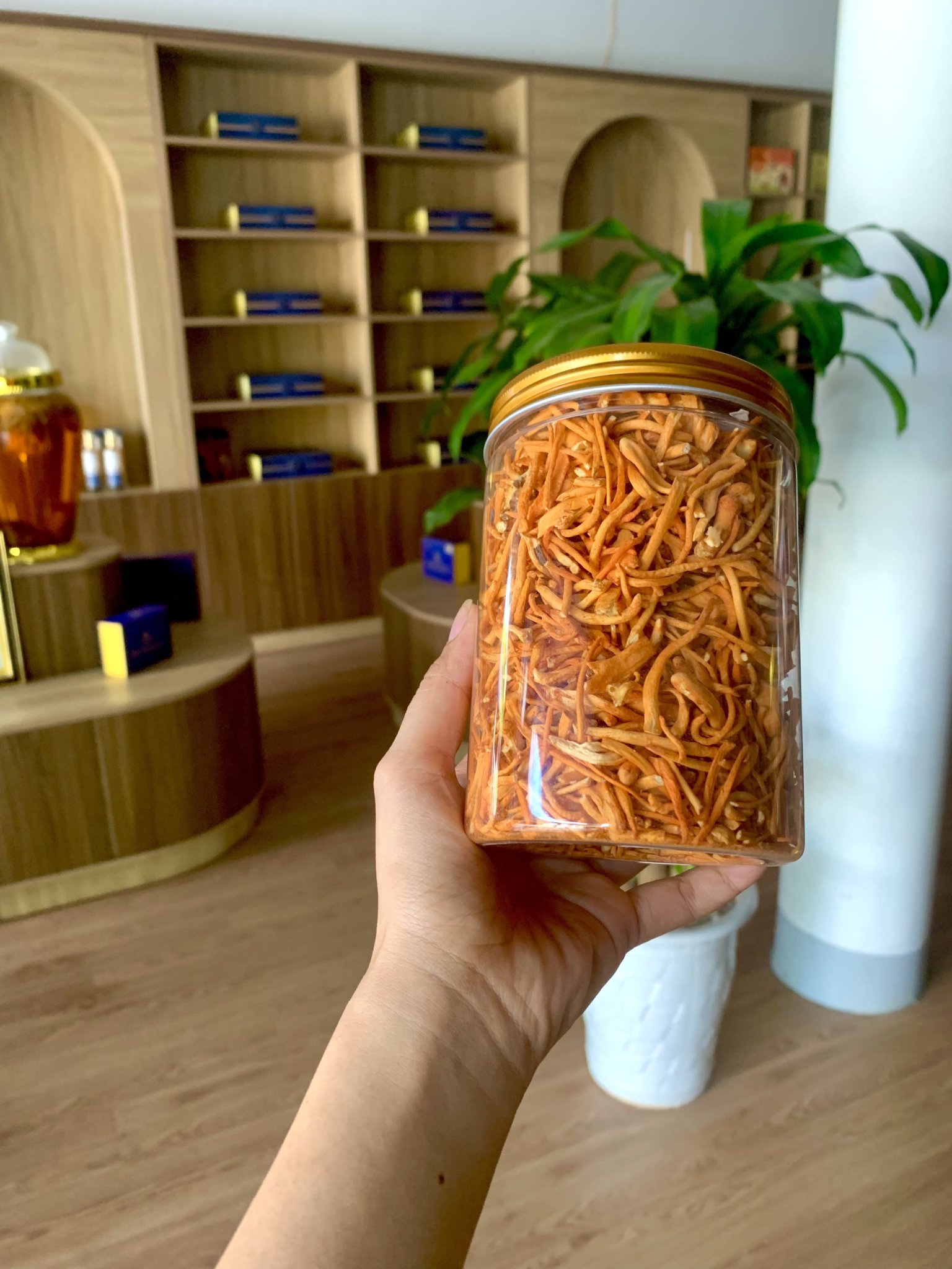 Đông trùng hạ thảo sấy thăng hoa, loại 2- 50g chính hãng