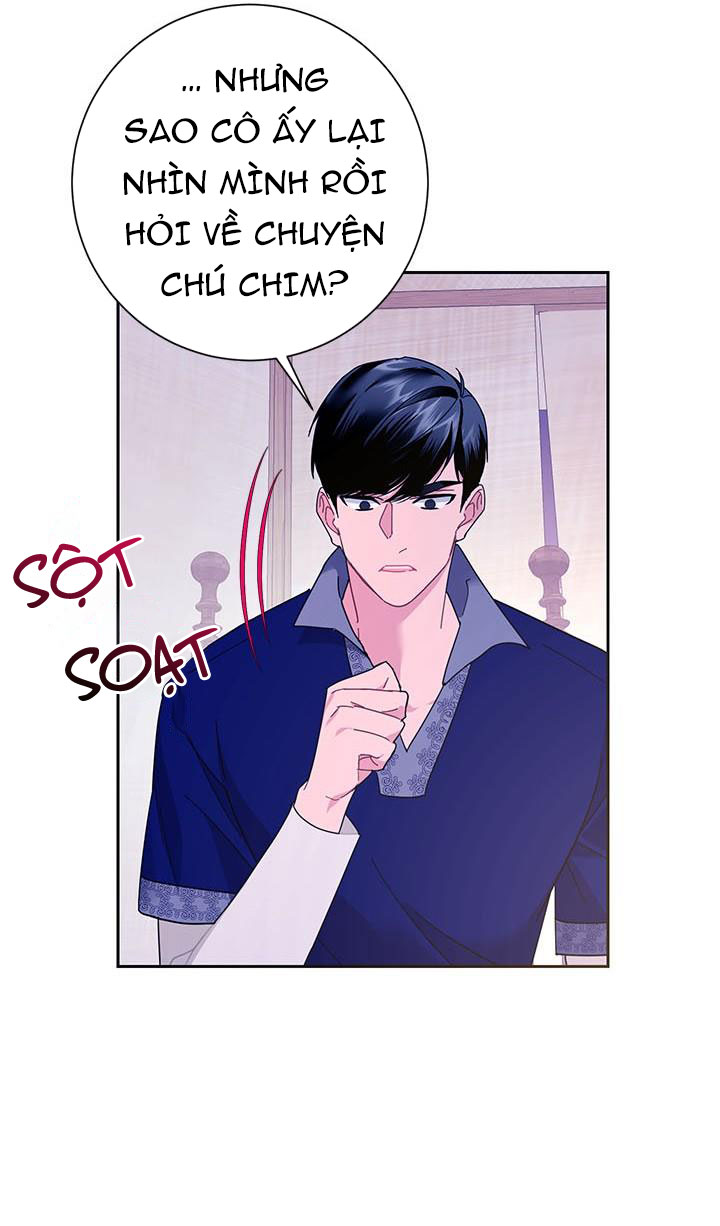 công chúa của loài chim chapter 40.1 34