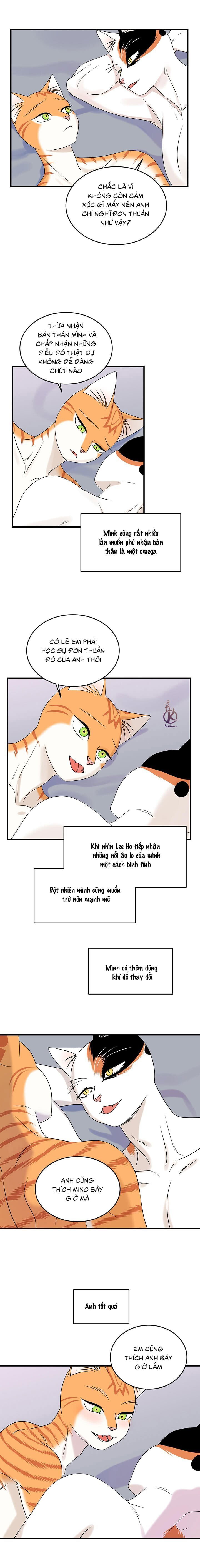 dự án xanh chapter 49 3