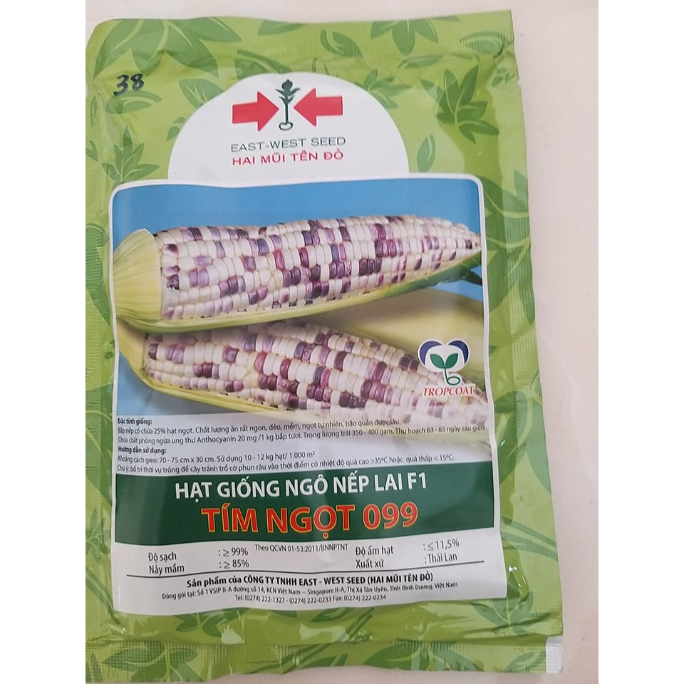 Hạt giống bắp nếp lai F1 Tím Ngọt 099 Hai Mũi Tên Đỏ gói 100g