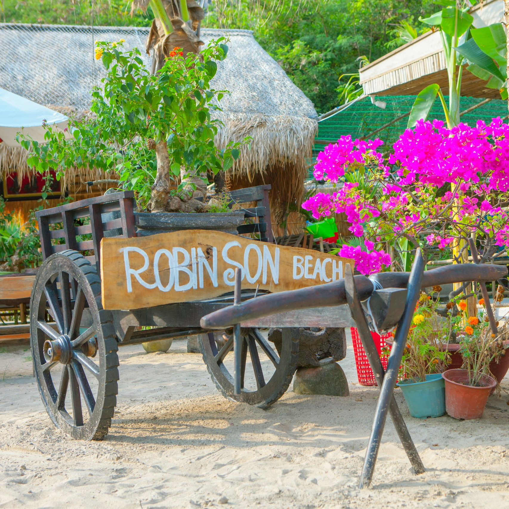 Tour Nha Trang - Ốc Đảo Robison Một Ngày Không Thể Quên . Khởi Hành Hàng Ngày