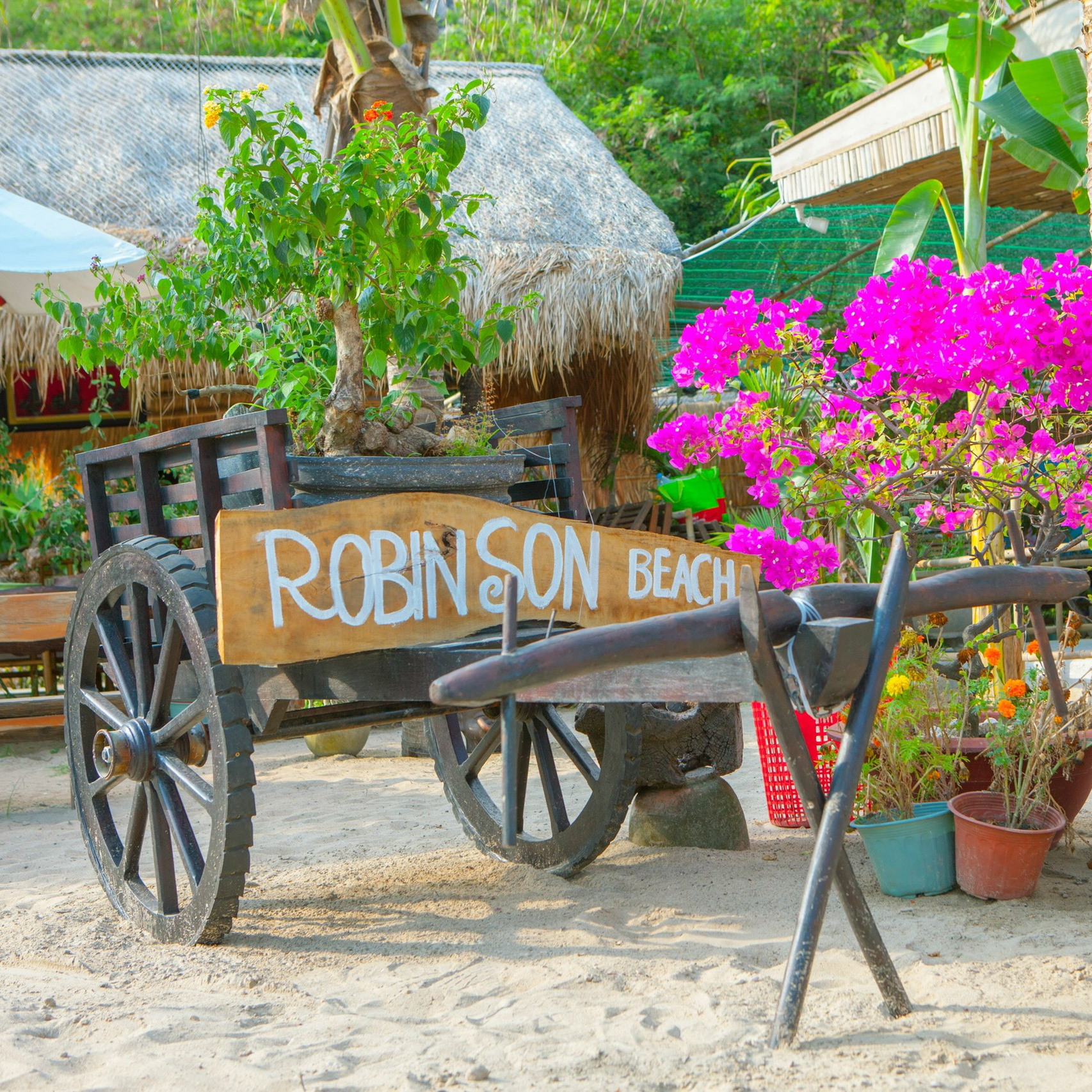 Tour Nha Trang - Ốc Đảo Robison Một Ngày Không Thể Quên . Khởi Hành Hàng Ngày 