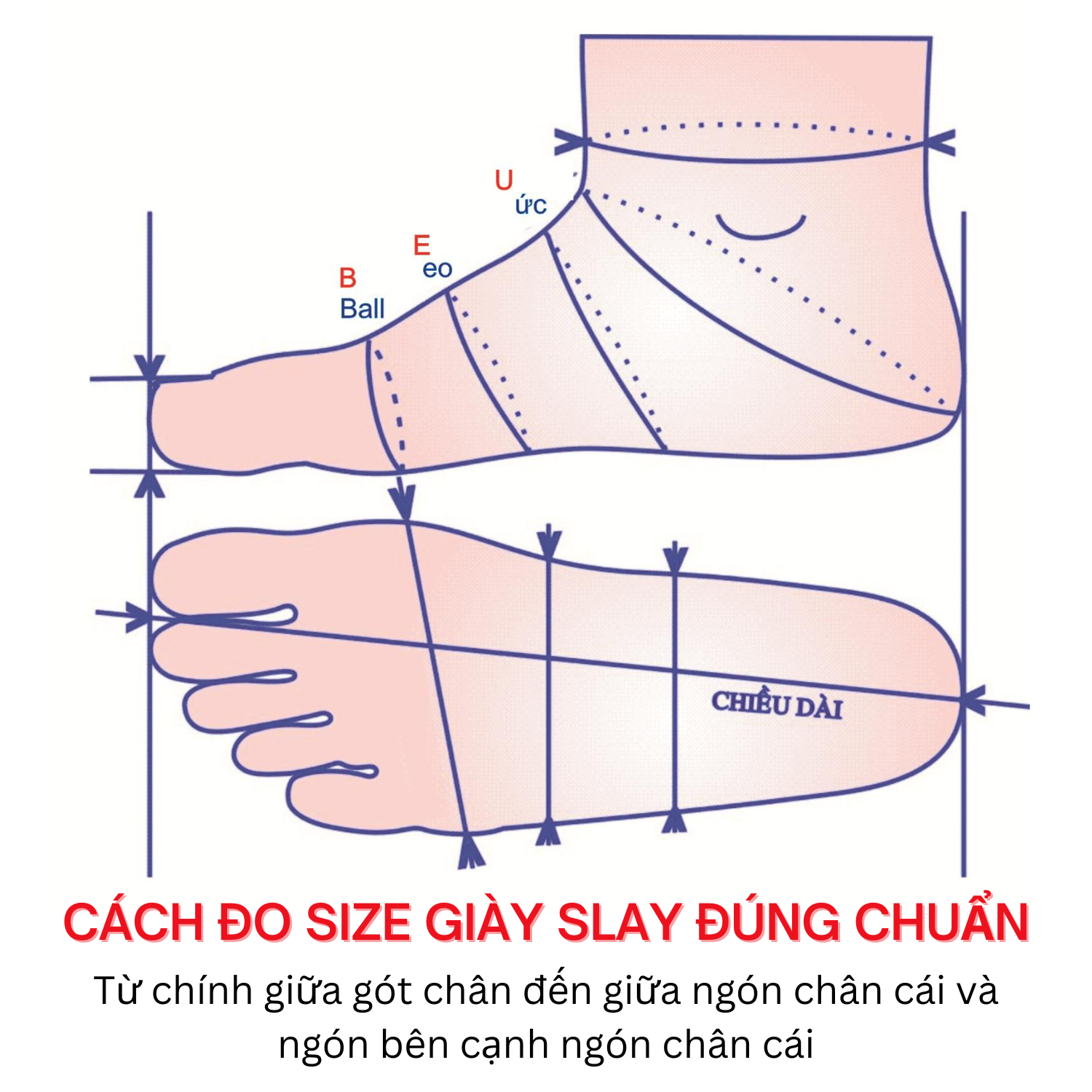 Giày đế cao SLAY BY MLEE, Sneaker Chunky All - White, Hàng chính hãng cao cấp