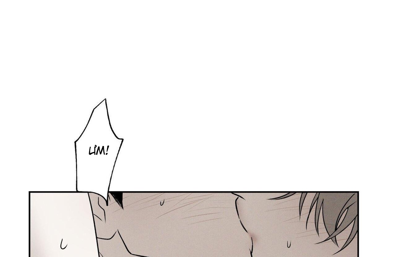 chàng giao pizza và gold palace chapter 48 63