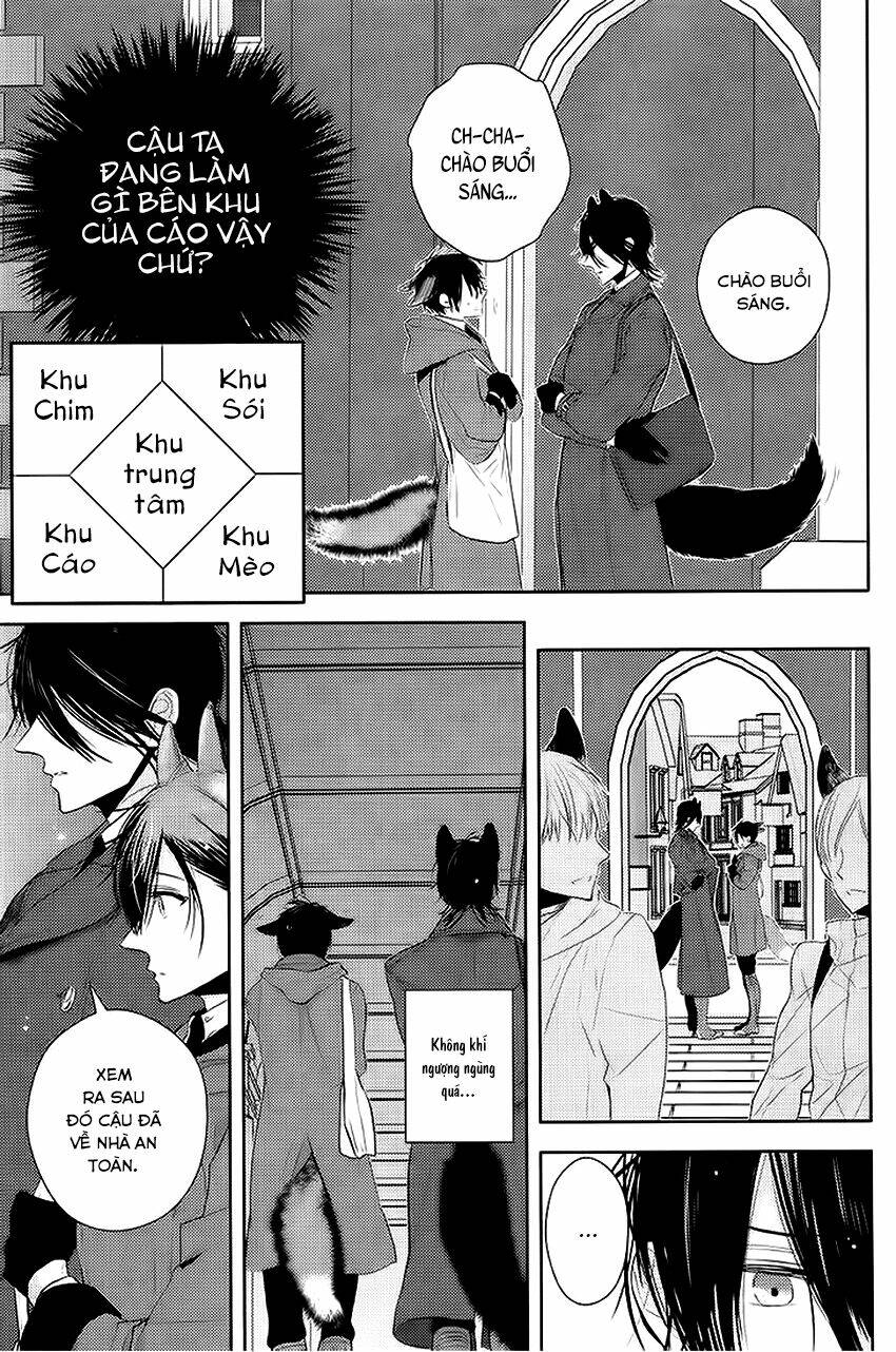 sói đen và cáo bạc chapter 2 15