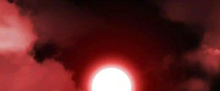 trở thành vương giả sau khi bị cắn chapter 34 3