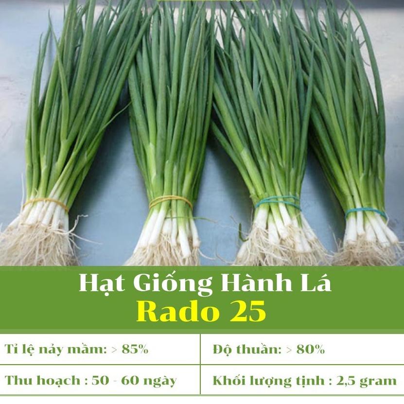 Hạt Giống Hành Lá Rado 25 gói 2.5gr - Rạng Đông- Cho Năng Suất Cao, Dễ Trồng Và Chăm Sóc, Chất lượng tốt