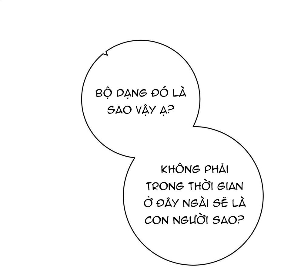 cơn mưa rào mùa hạ chapter 29 39