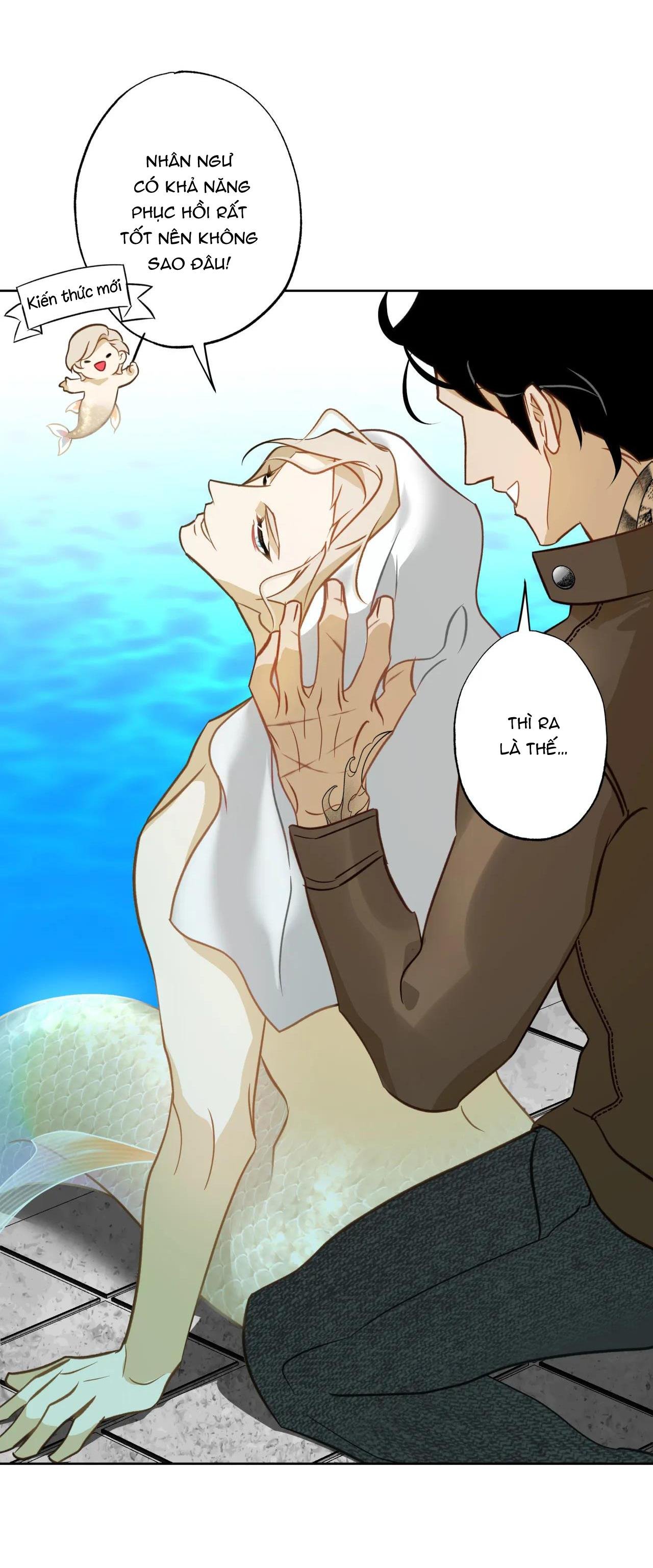 mỹ nhân ngư chapter 5 38
