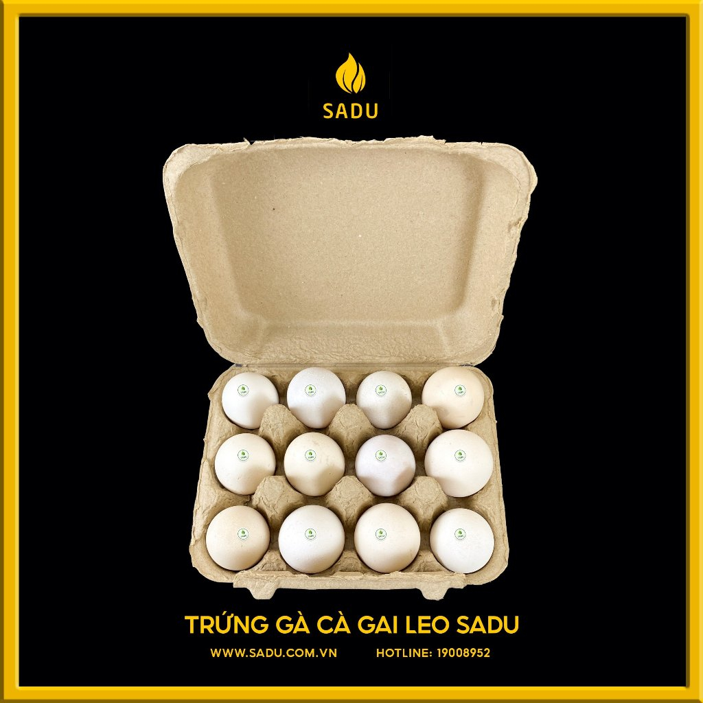 [Hoả Tốc] Trứng gà thảo dược cà gai leo SADU thơm ngon, bổ dưỡng giao hàng nhanh (Combo 3 tặng 1 )