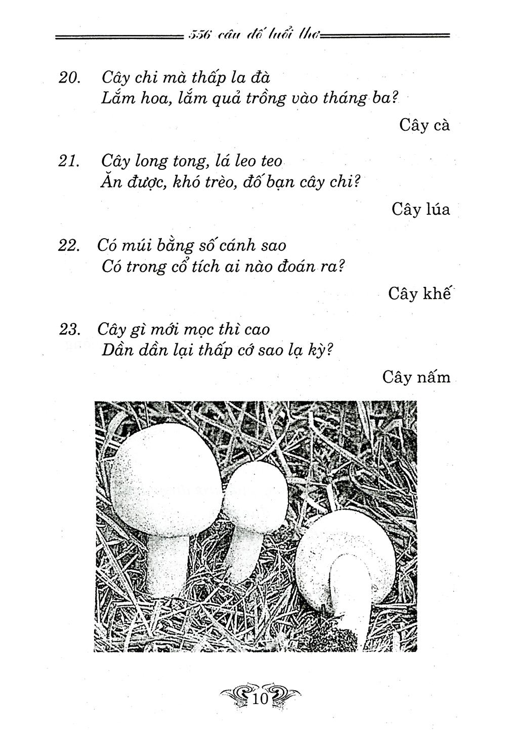 Câu Đố Tuổi Thơ