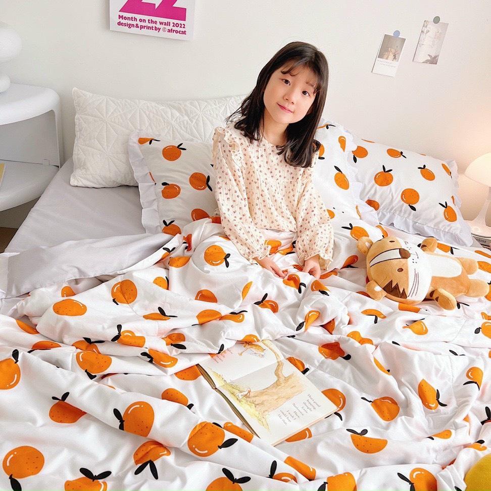 Bộ Chăn Ga Gối Cotton Đũi Bèo 4 món