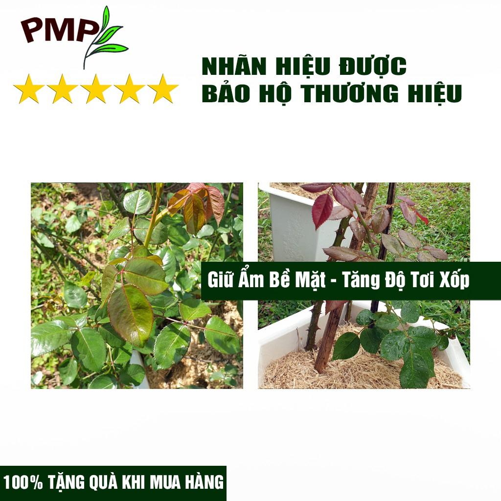 Giá Thể Trồng Cây PMP Siêu Giá Thể Bã Mía SUMI, Chuyên Dụng Cho Trồng Hoa Hồng, Hoa Lan, Rau Sạch (250g - 2dm3)