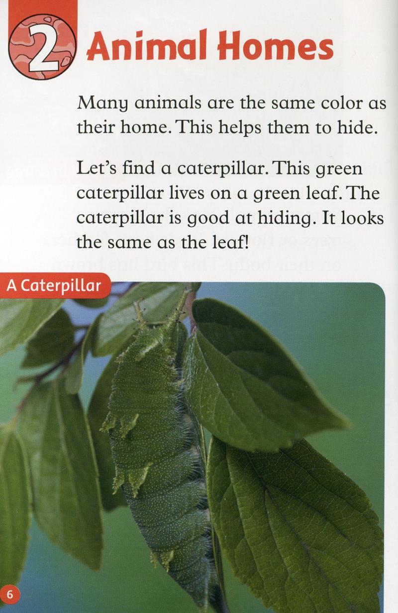 Oxford Read and Discover: Level 2: Camouflage