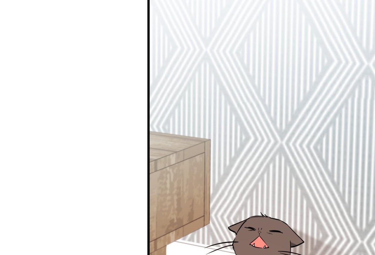 đàn thỏ của habibi chapter 65 231