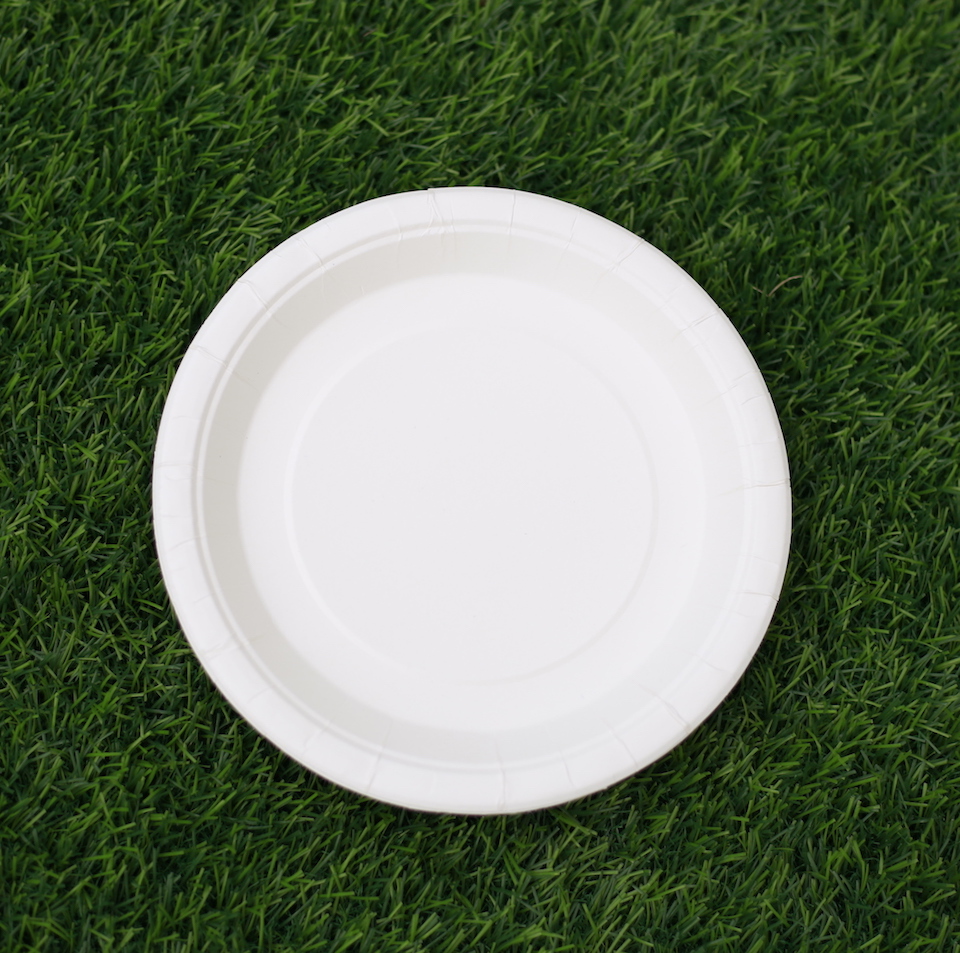 Dĩa giấy trắng 19cm - Combo 50 cái