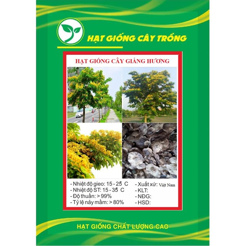 Hạt Giống Cây Giáng Hương KNS3722 - Gói 5 hạt