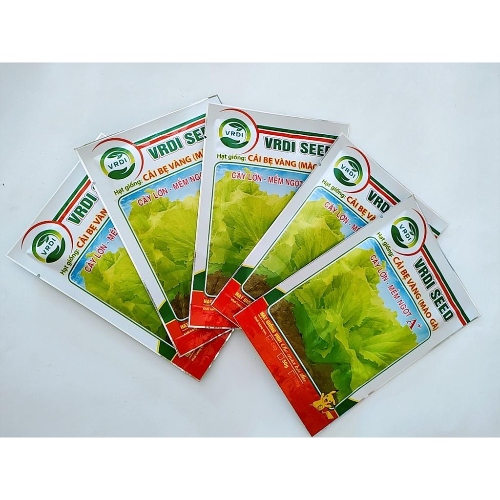 Hạt giống cải bẹ vàng, cải mào gà F1, cây lớn, mềm ngọt, chịu nhiệt tốt, siêu dễ trồng gói 20g