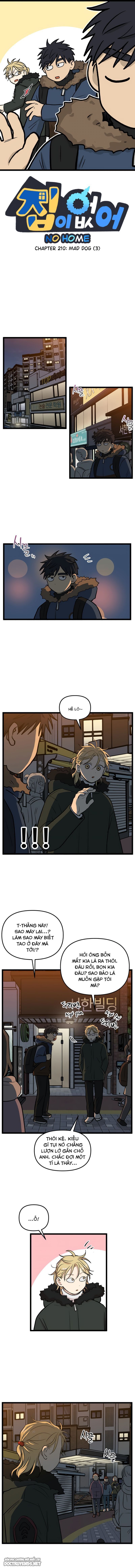 no home - không nhà chapter 210 1