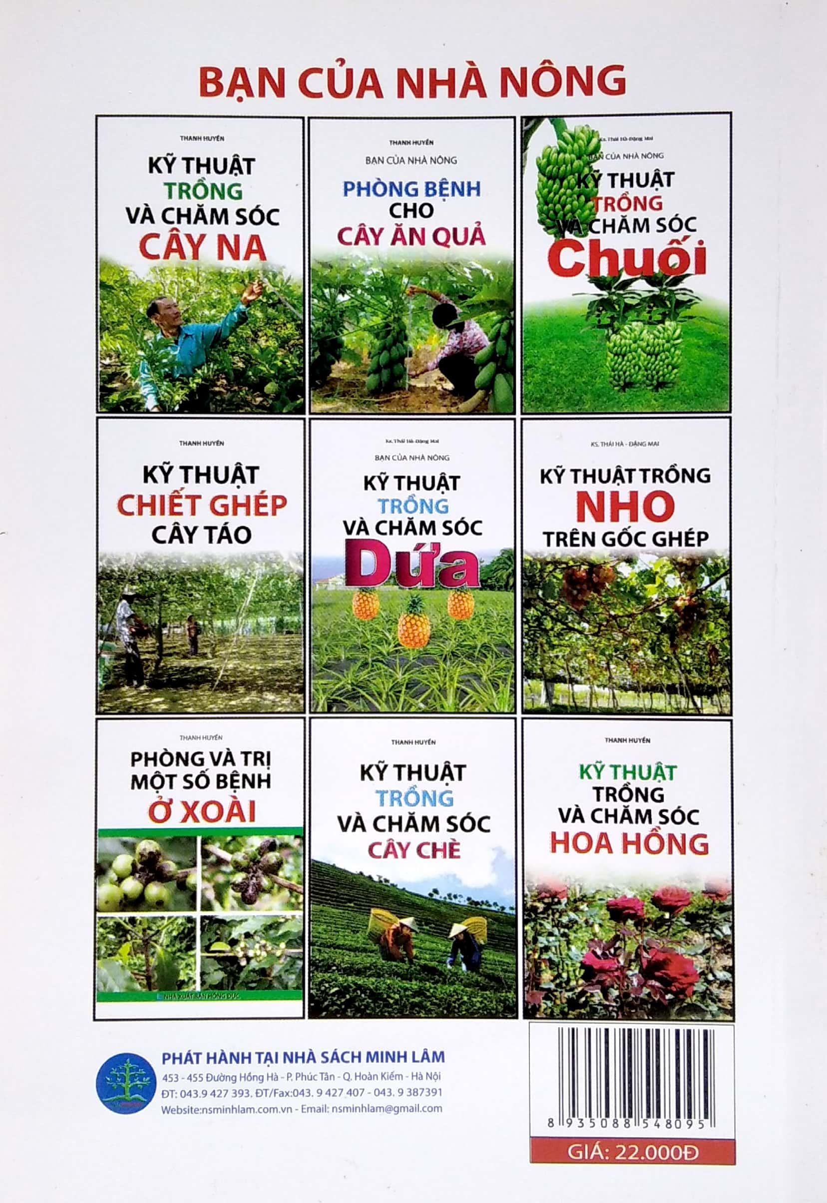 Kỹ Thuật Trồng Dâu Tây