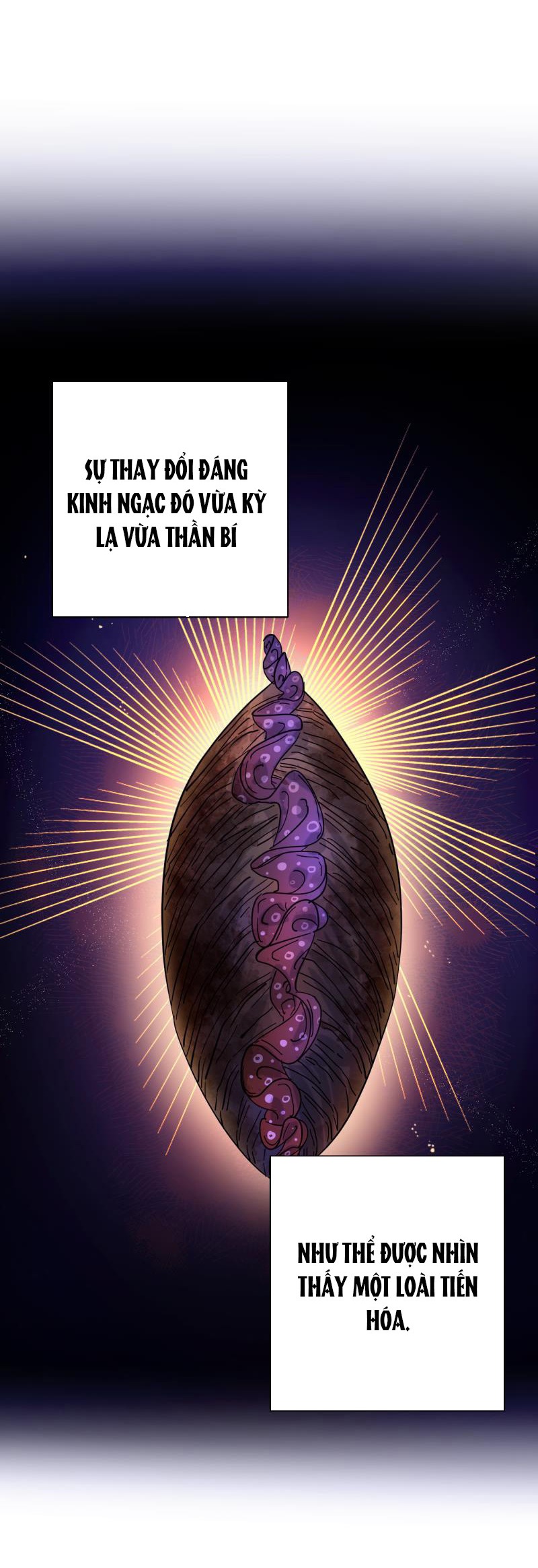 tiên cá trên bờ chapter 4 26