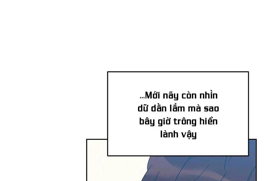 guide cấp b chapter 13 47