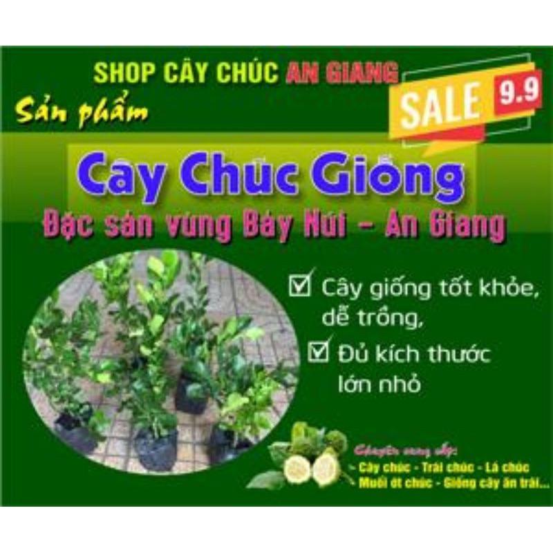1 kg phân dơi nguyên thủy