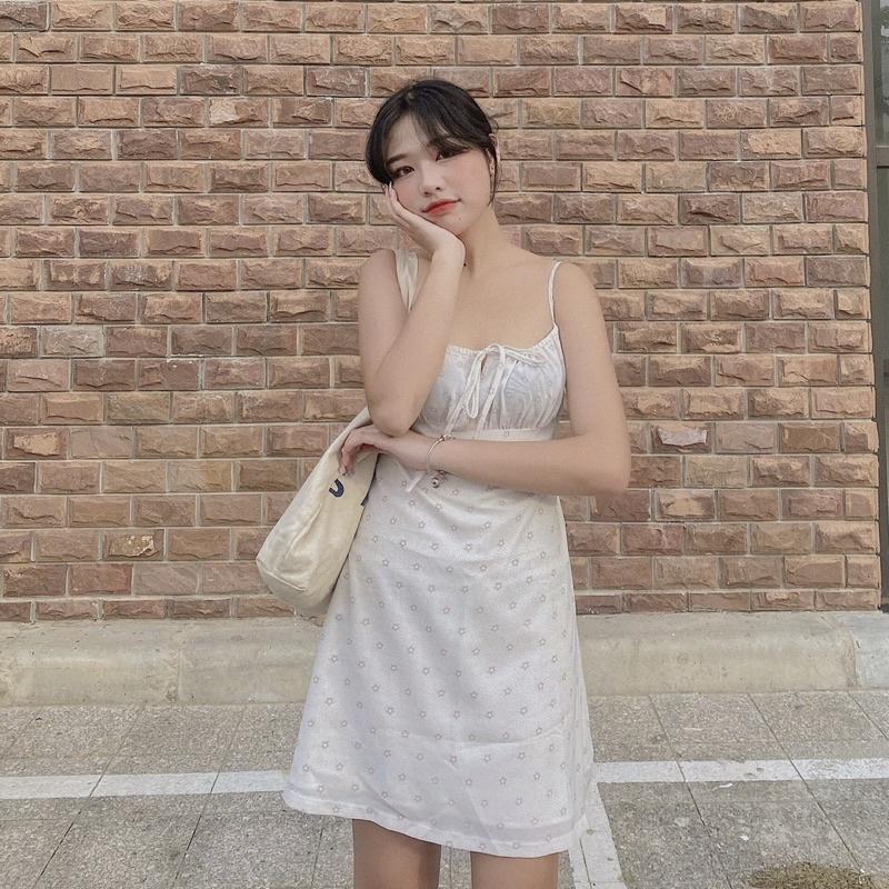 ĐẦM HAI DÂY HOA NHÍ