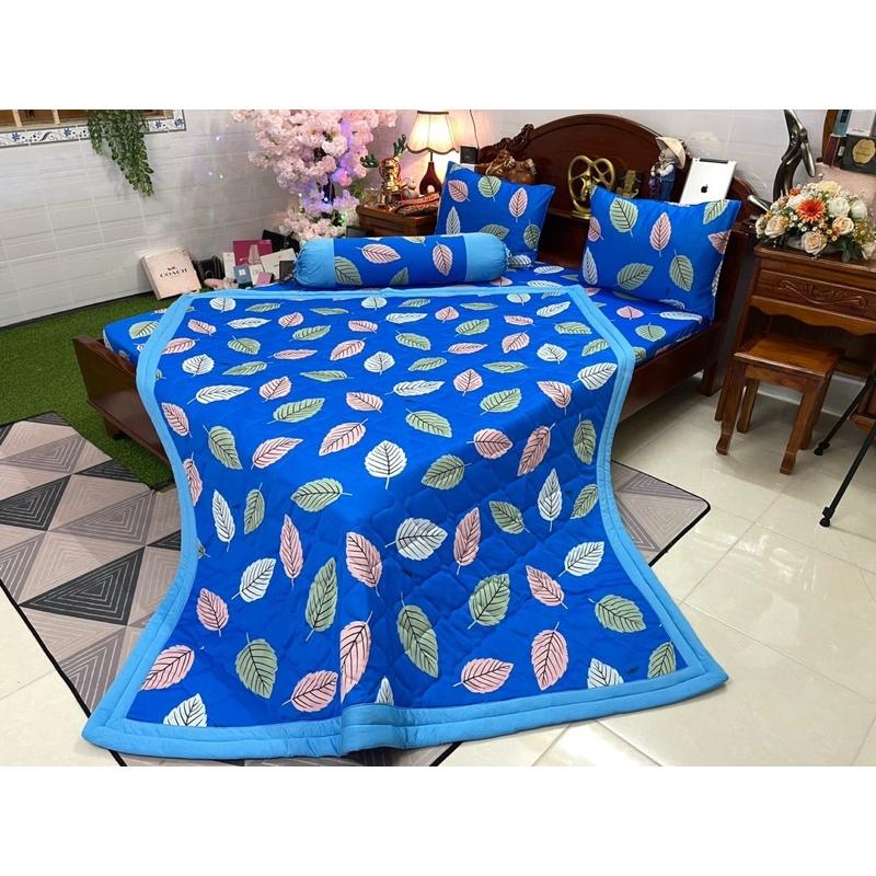 Drap thun hàn quốc
