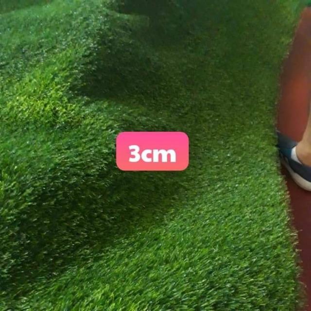Combo 5 m2 cỏ nhân tạo 3 cm