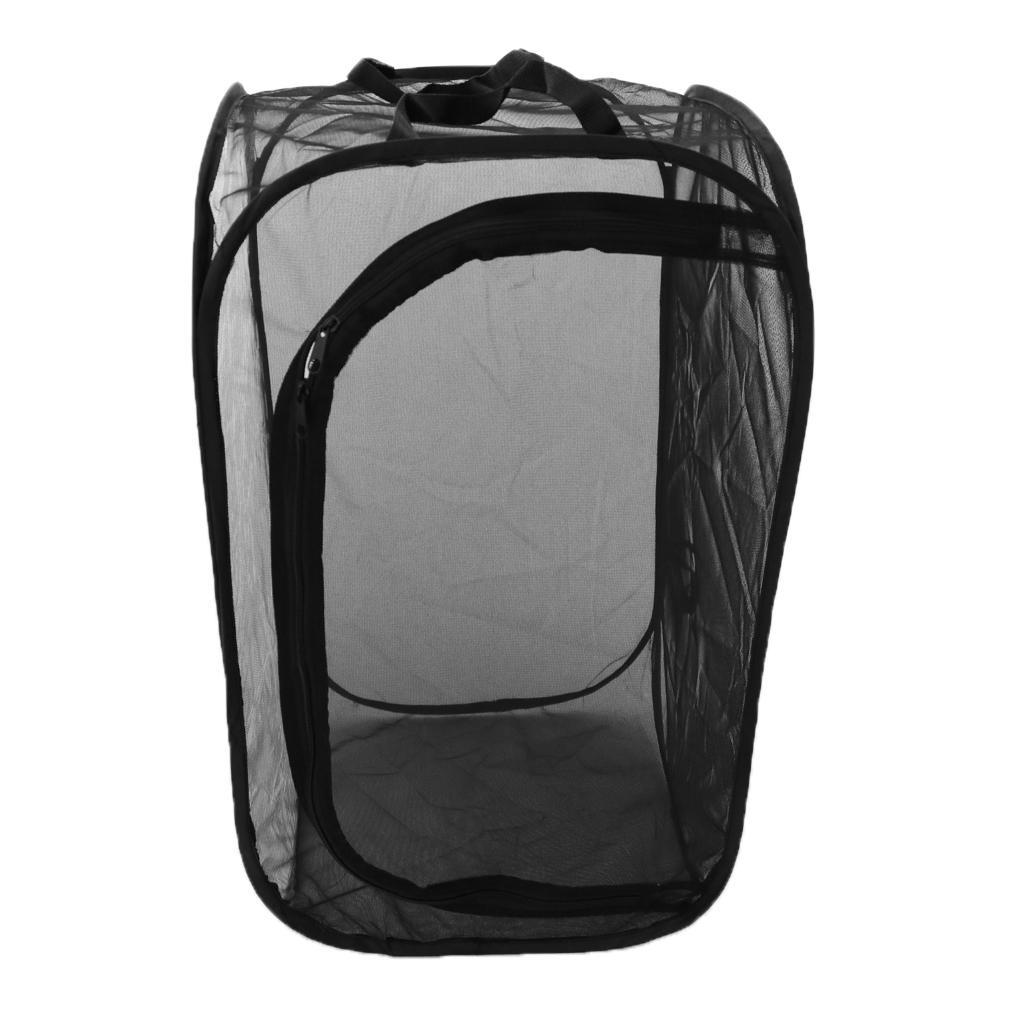 2 Pcs Insect Butterfly Raising Habitat -up Terrarium Insect Mesh Cage