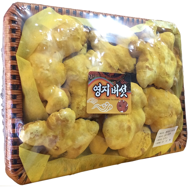 NẤM LINH CHI THƯỢNG HOÀNG CAO CẤP 250gram