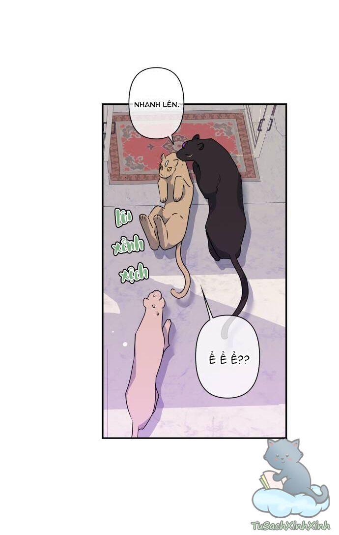 tôi đang nuôi dưỡng một con quái thú chapter 37 18